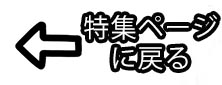 カーテン モダン アジアンに戻る